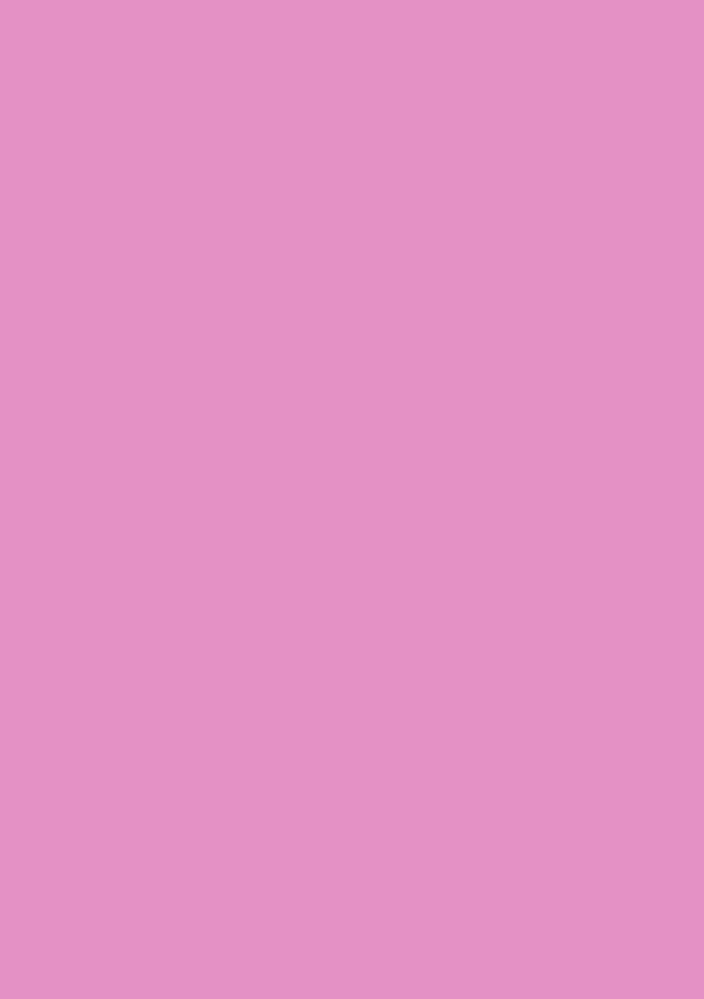 Double Pink Journal