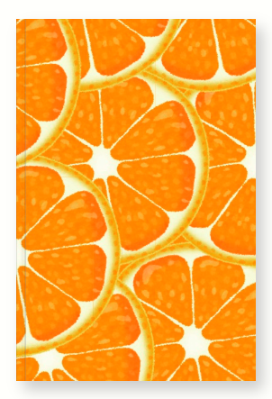 Orange Bullet Journal